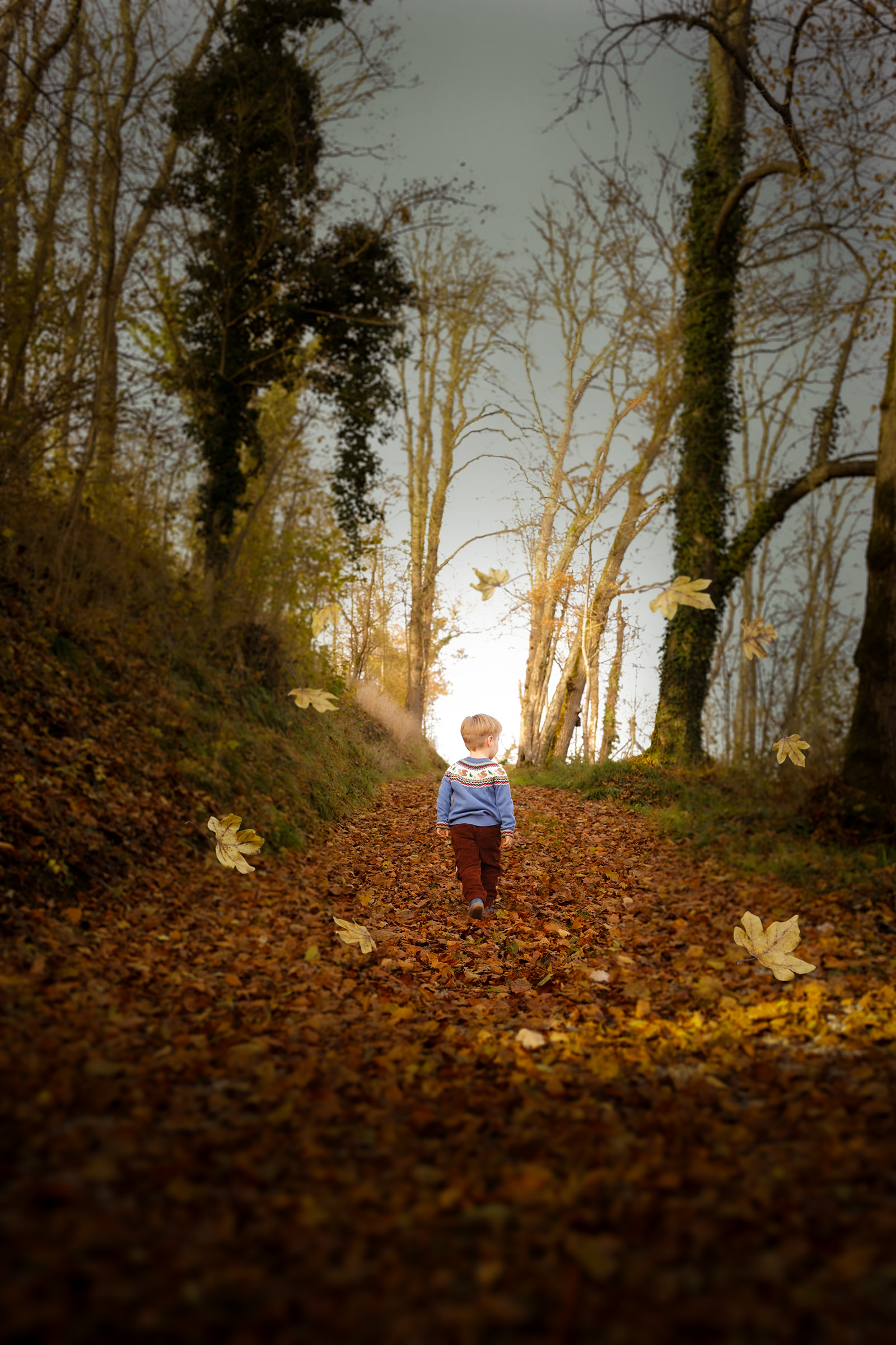 Anmutiges Kinderportrait von einem Jungen nahe Crailsheim