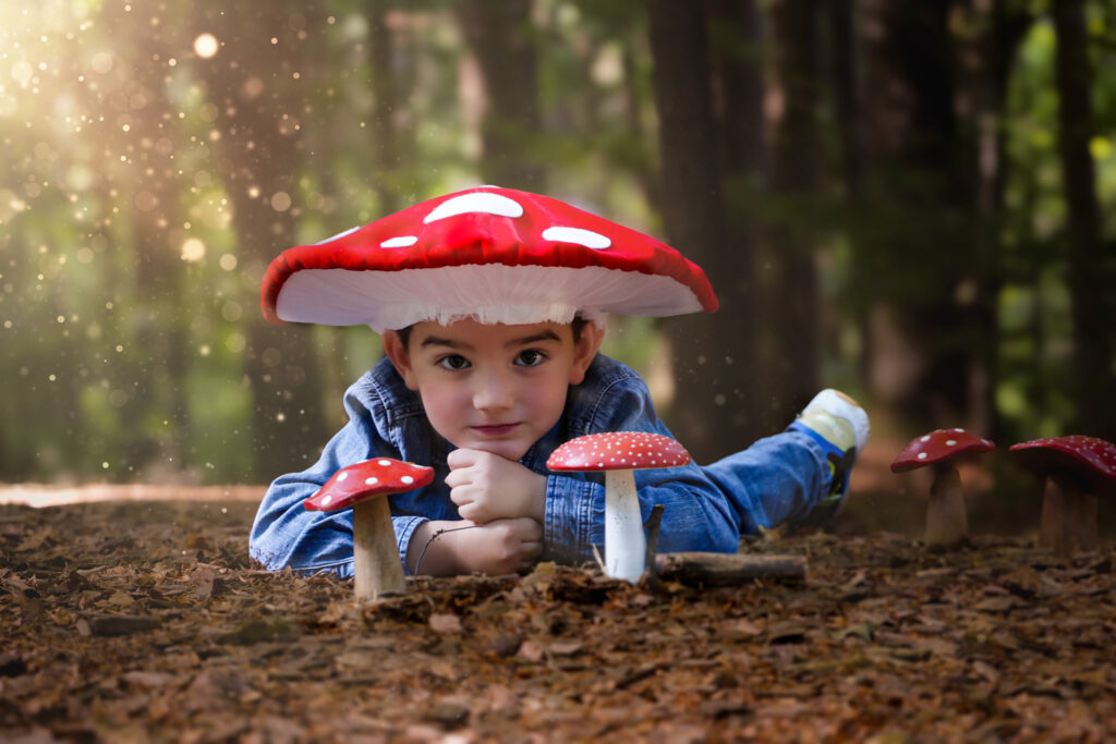Anmutiges Portrait von Jungen mit Fliegenpilz im Wald nahe Dinkelsbühl